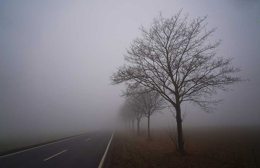 Winterstimmung, die Ruhe im Nebel auf der Allee.